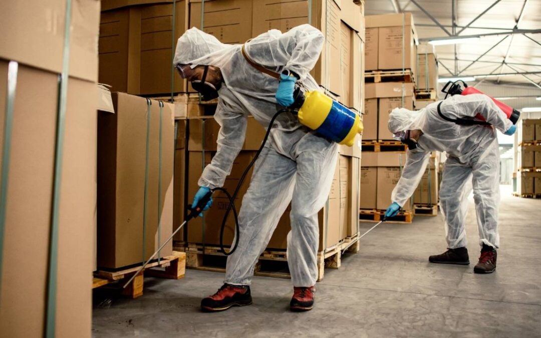 Dedetização está sujeita à retenção na fonte