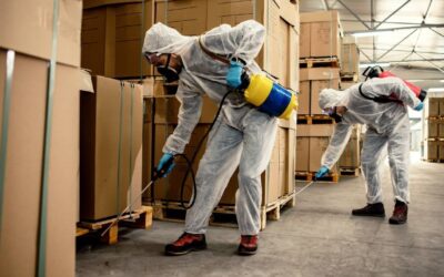 Dedetização está sujeita à retenção na fonte