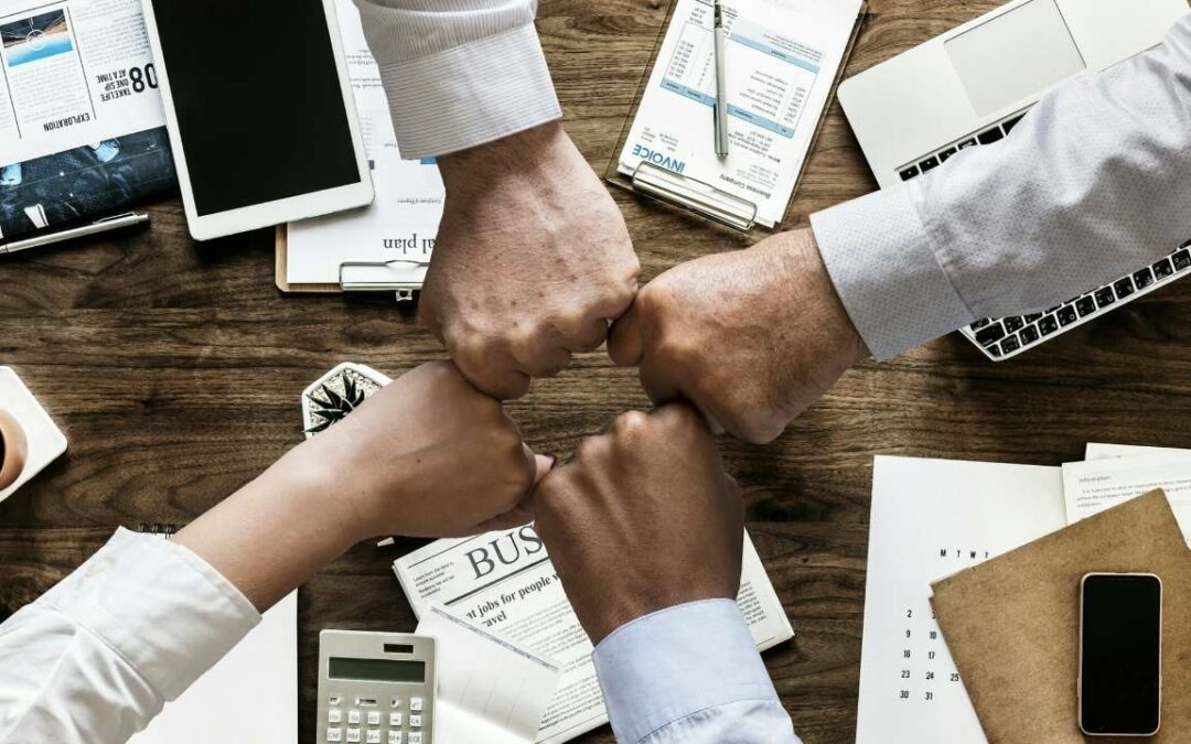 Administração de grupo de consórcios