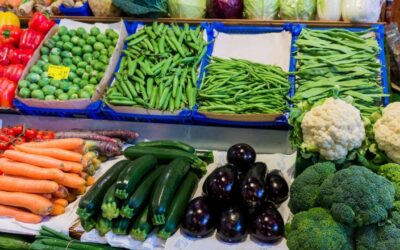 Hortifrutigranjeiros não tem créditos de PIS/COFINS