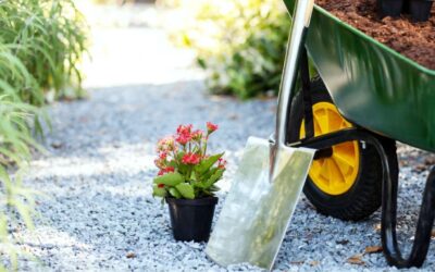 ISS sobre Jardinagem