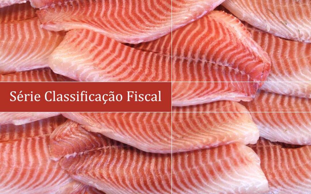 Filés crus de tilápias