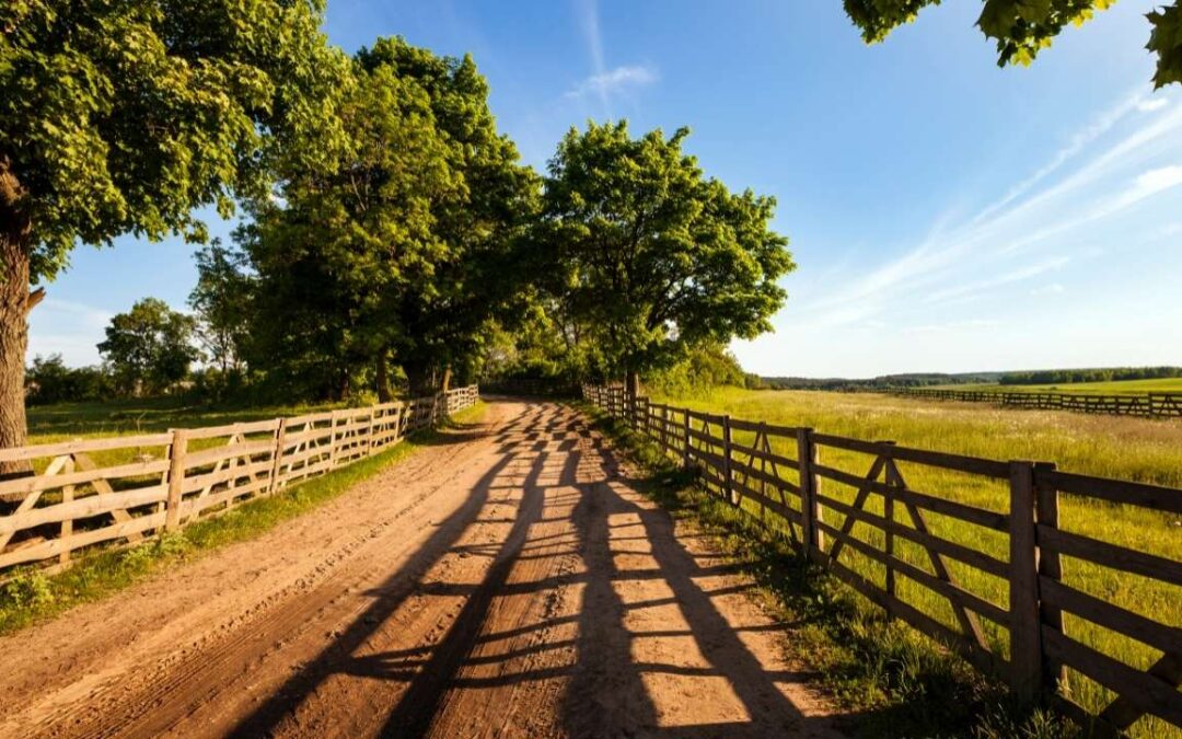 Ganho de capital na alienação de imóveis rurais herdados