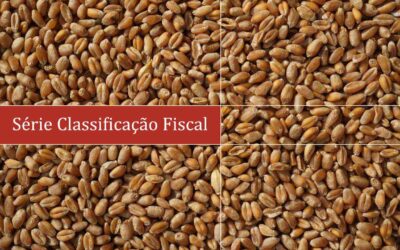 Tubo para armazenagem de grãos