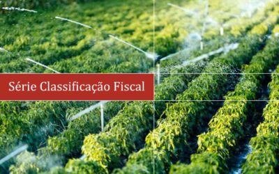 Válvula reguladora de pressão