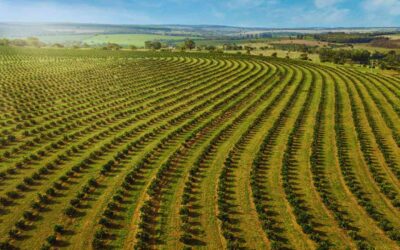 Isenção de ICMS no Agronegócio