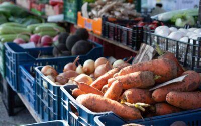 Empresa que adquire produtos de origem animal ou vegetal junto a pessoas físicas é responsável pelas contribuições sociais