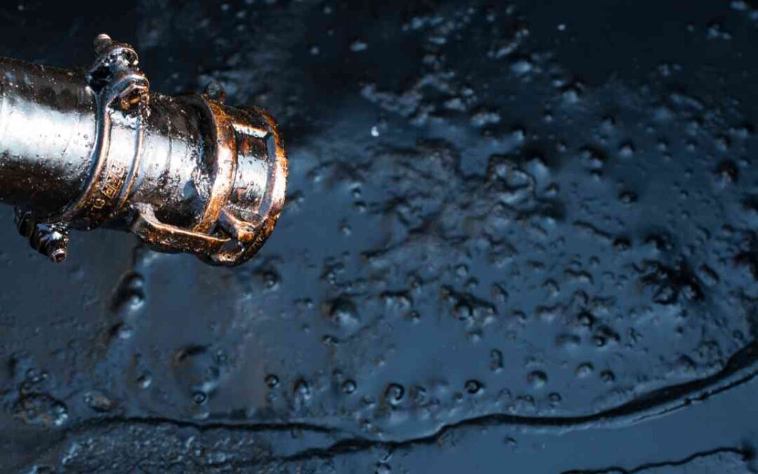 Procedimentos simplificados para importação e exportação de petróleo bruto