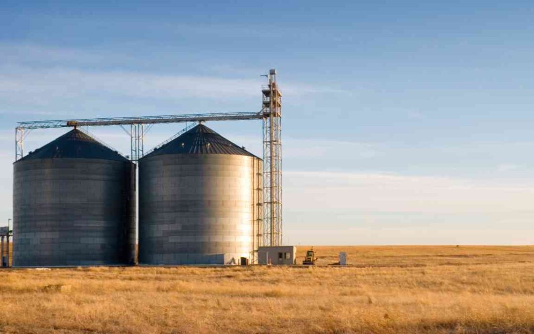 Cerealista não pode terceirizar