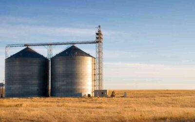 Cerealista não pode terceirizar