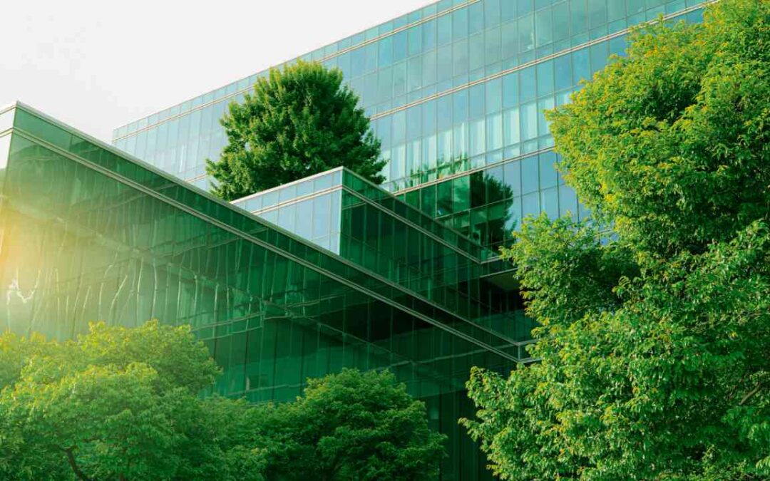 O princípio da tributação saudável trazido na reforma tributária