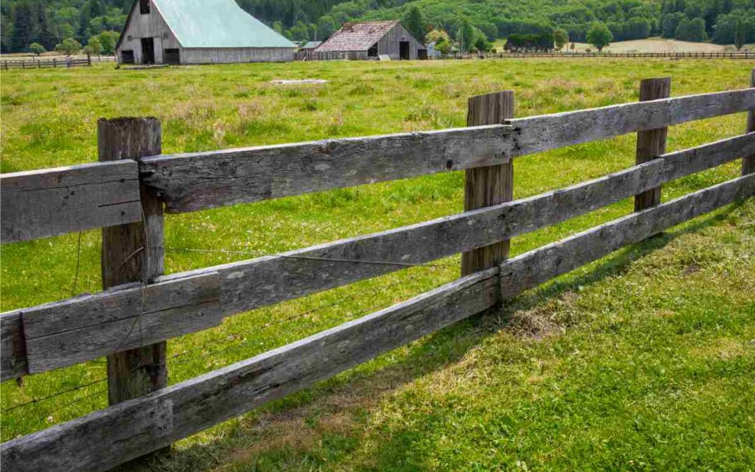 ITBI na Compra de Imóvel Rural não pode ser considerado como Benfeitoria