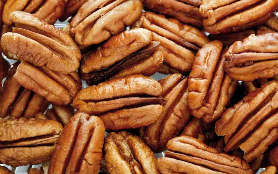 Receita Federal valida rateio de despesas entre associadas sem fins lucrativos