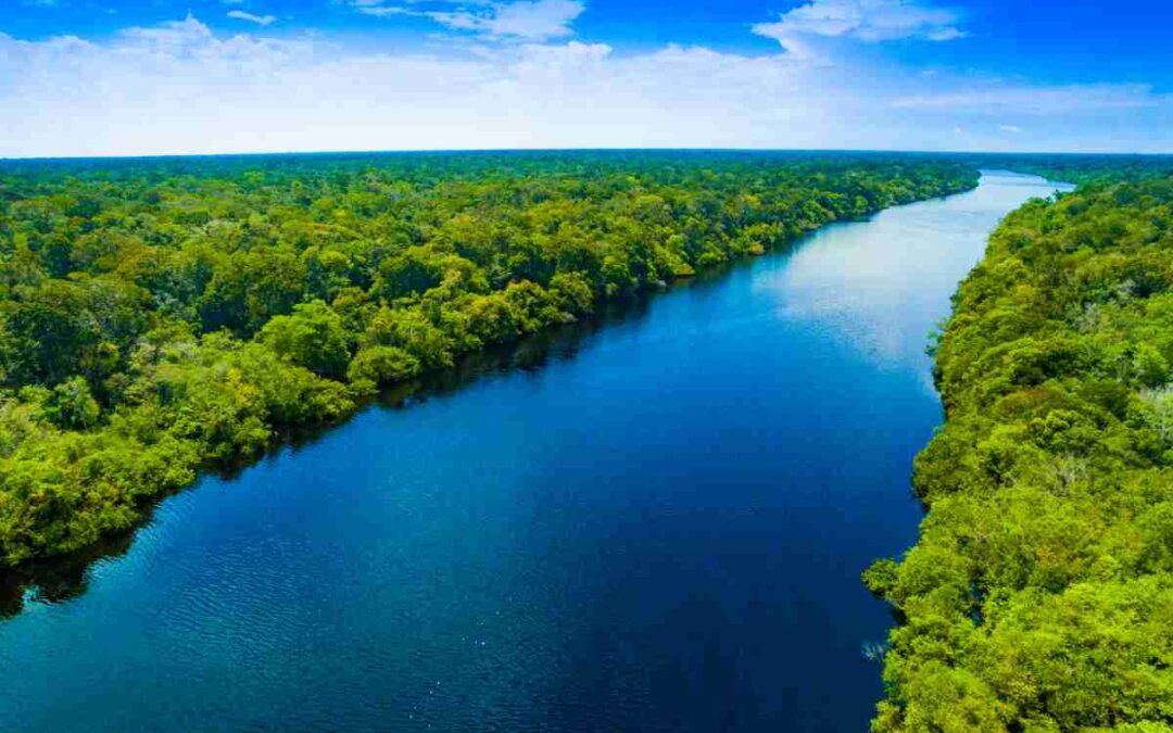 Ibama approves Petrobras simulation at the Amazon River mouth but requires adjustments before granting license