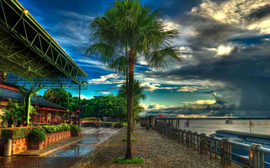 COP30: Government and Businesses United for a Sustainable Energy Transition