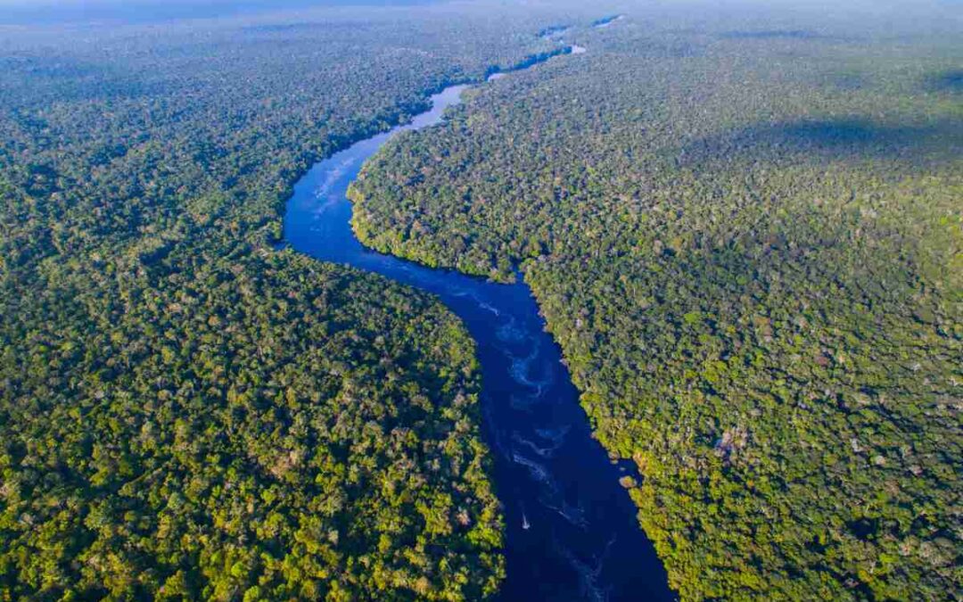 New frontier at the mouth of the Amazon river heads to the courts