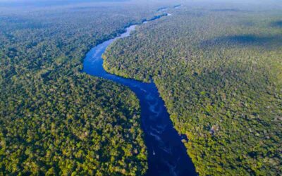 New frontier at the mouth of the Amazon river heads to the courts