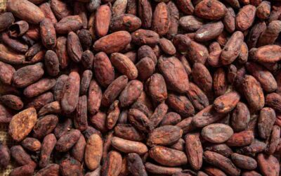 Destruição de mercadoria sob regime de drawback suspensão não gera exigência de tributos