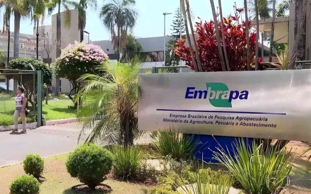 Supremo afasta cobrança de IPVA de veículos da Embrapa no Maranhão