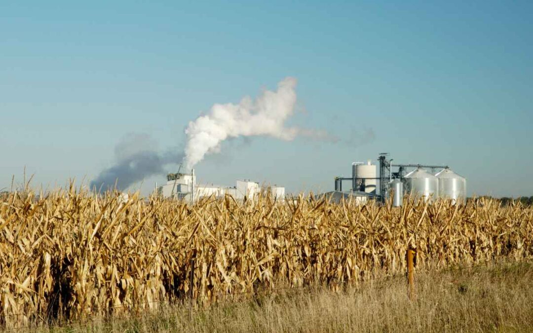 Key highlights of the 2035 ten-year energy plan and the 2055 national energy plan