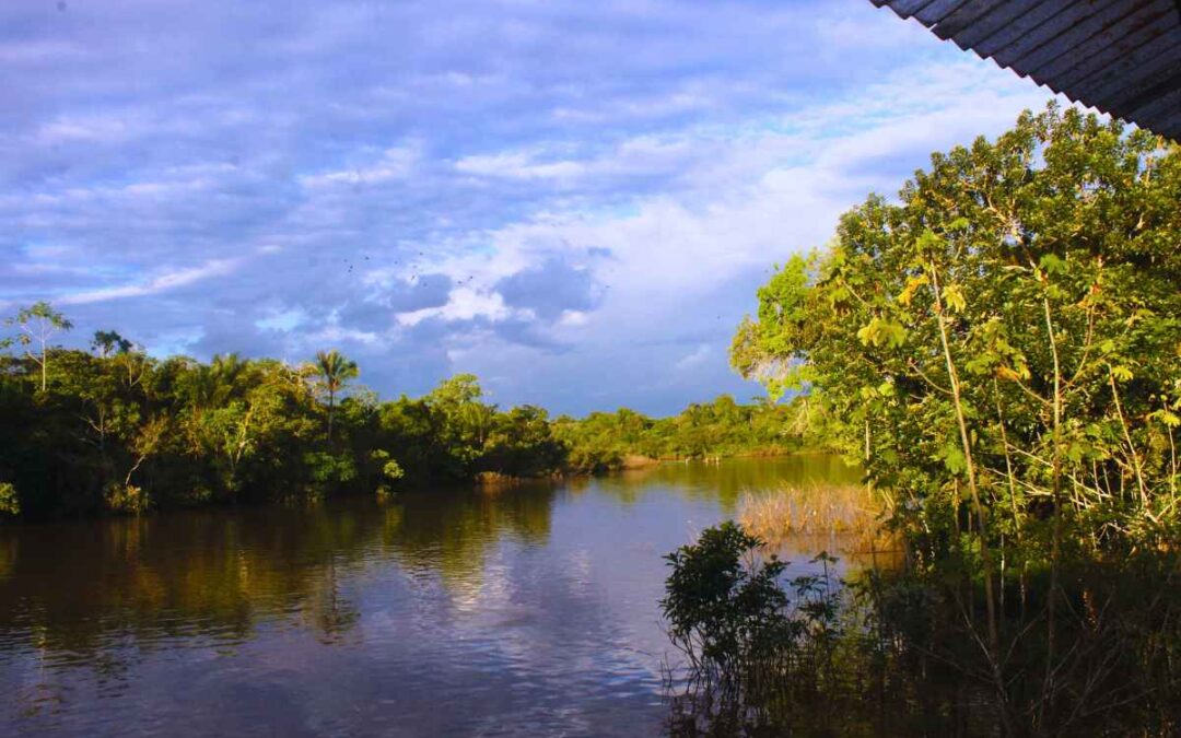 Entre rios e estradas: o futuro da navegação interior no Brasil