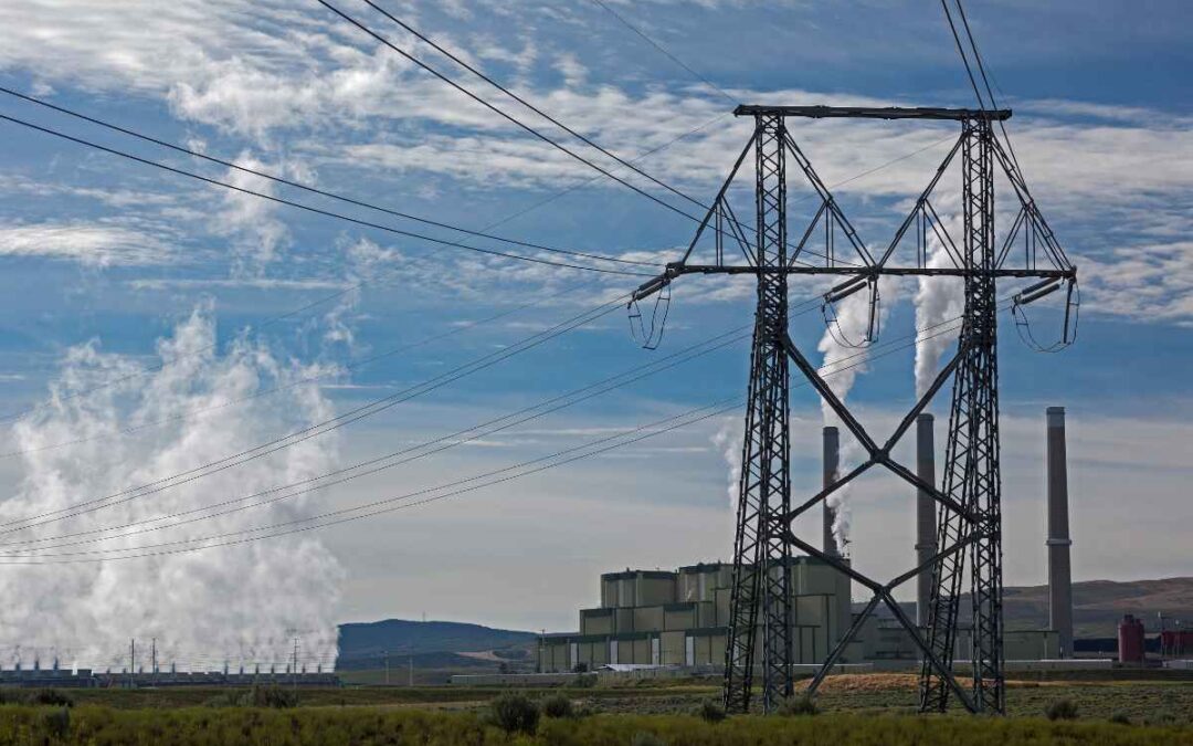 Energy transition and diversification trends