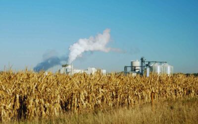 Low-carbon fuels and development finance