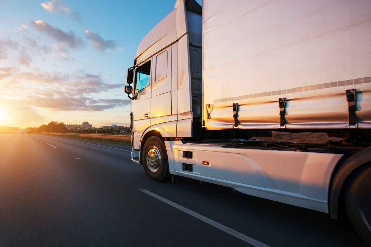 transportadora