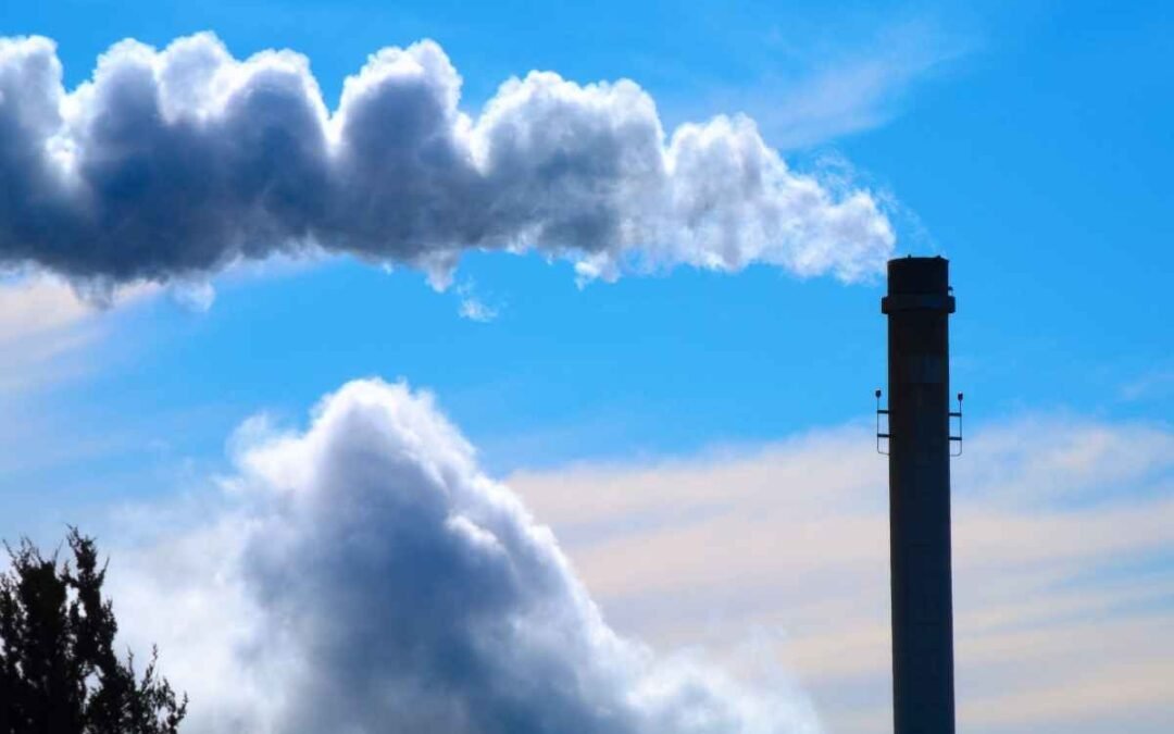 IMO adia para dezembro a decisão sobre a precificação de carbono no transporte marítimo internacional