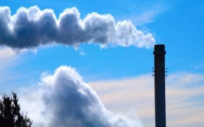 IMO postpones to December the decision on carbon pricing in international shipping