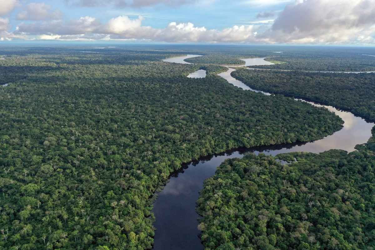 foz-do-amazonas