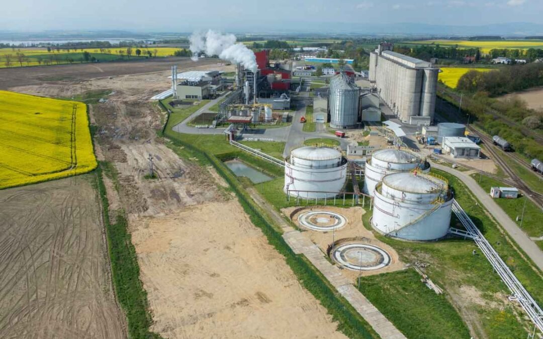 Brazil pushes for biofuels to compete on measured carbon performance